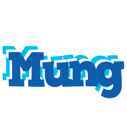 Mung business logo