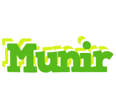 Munir picnic logo