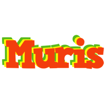 Muris bbq logo