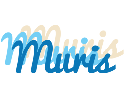 Muris breeze logo