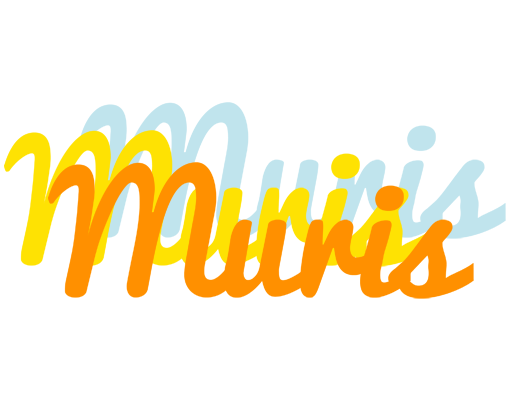 Muris energy logo
