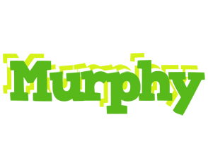 Murphy picnic logo