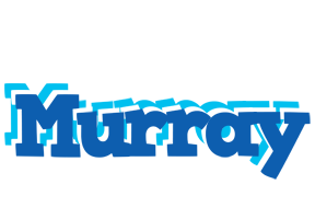 Murray business logo