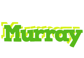 Murray picnic logo