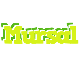 Mursal citrus logo