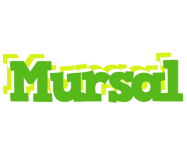 Mursal picnic logo