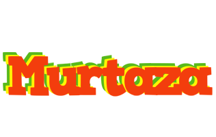 Murtaza bbq logo