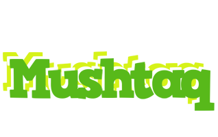 Mushtaq picnic logo