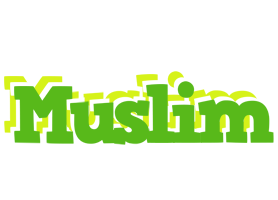 Muslim picnic logo