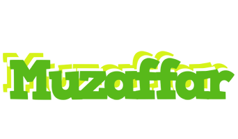 Muzaffar picnic logo