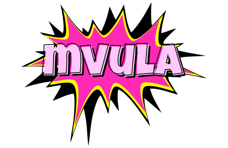 Mvula badabing logo