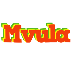 Mvula bbq logo