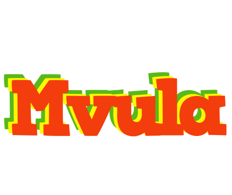 Mvula bbq logo
