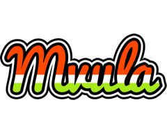 Mvula exotic logo