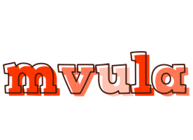 Mvula paint logo