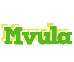 Mvula picnic logo