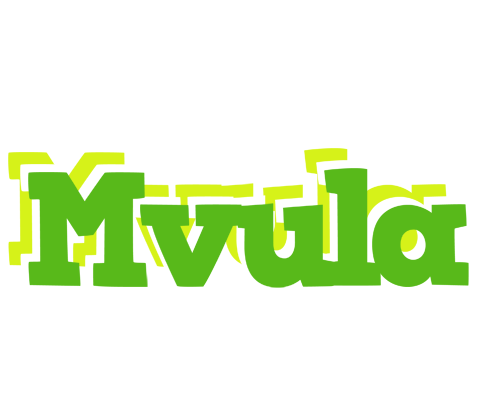 Mvula picnic logo