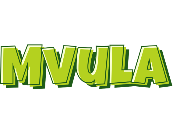 Mvula summer logo