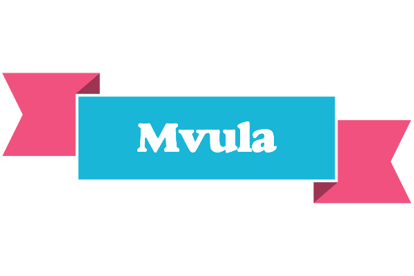 Mvula today logo