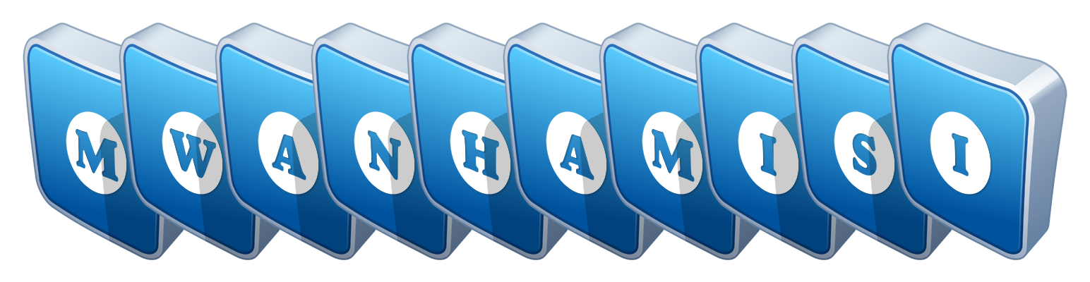 Mwanhamisi flippy logo