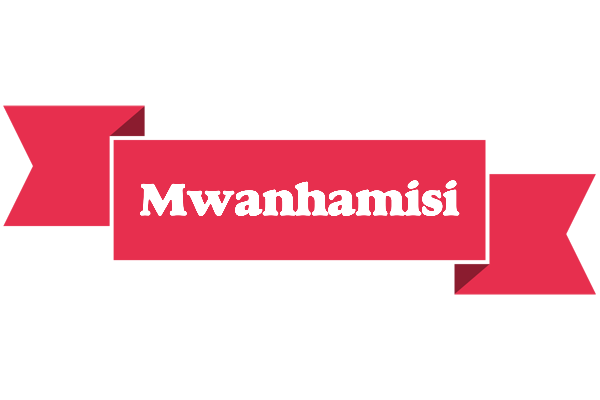 Mwanhamisi sale logo