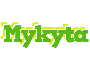 Mykyta picnic logo