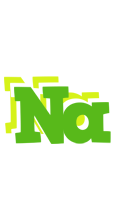 Na picnic logo