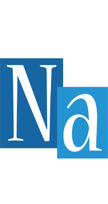 Na winter logo