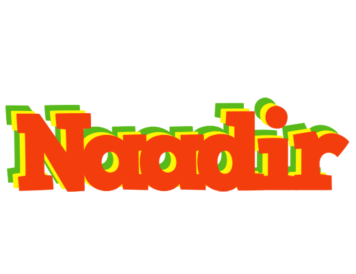 Naadir bbq logo