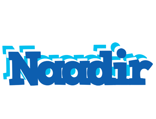 Naadir business logo