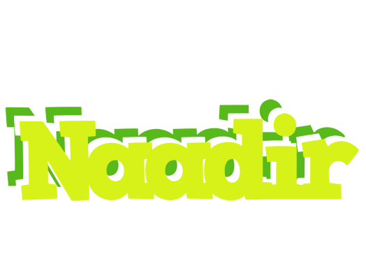 Naadir citrus logo