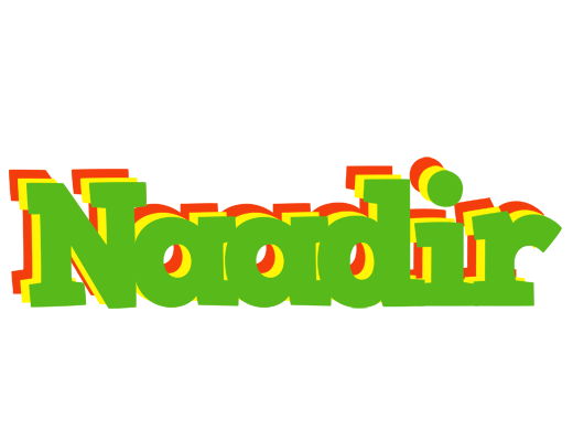 Naadir crocodile logo