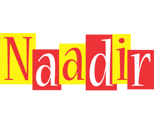 Naadir errors logo