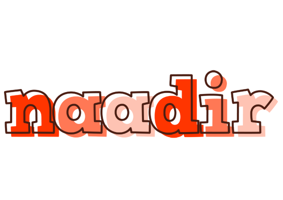 Naadir paint logo