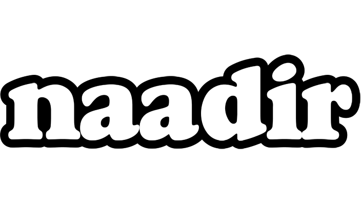 Naadir panda logo