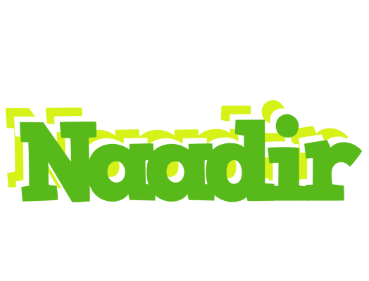 Naadir picnic logo