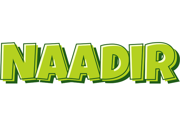 Naadir summer logo