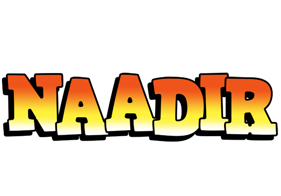 Naadir sunset logo