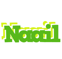 Naail picnic logo