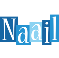 Naail winter logo