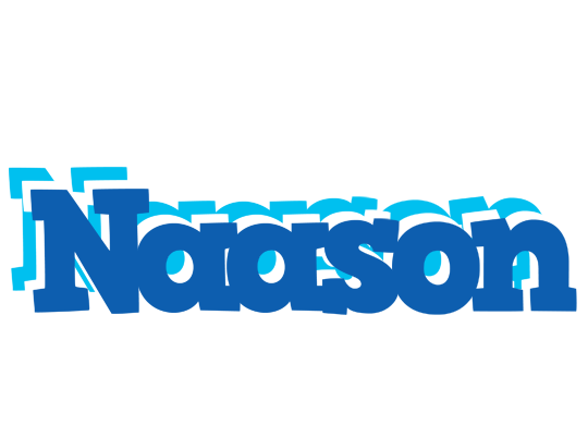 Naason business logo