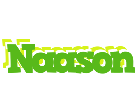 Naason picnic logo