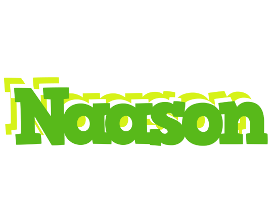 Naason picnic logo