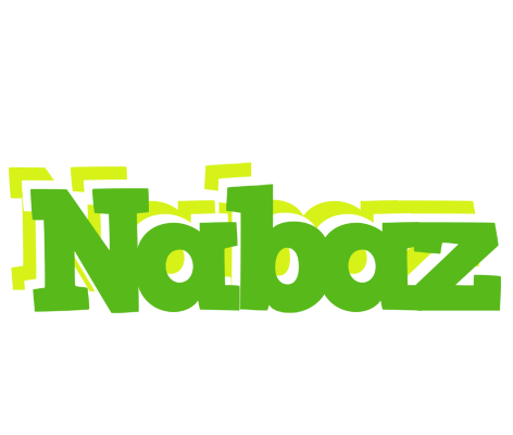 Nabaz picnic logo