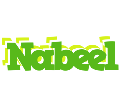 Nabeel picnic logo