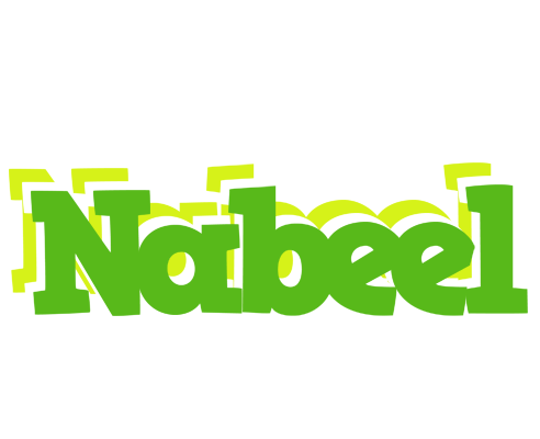 Nabeel picnic logo