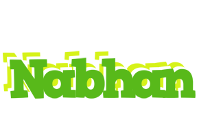 Nabhan picnic logo