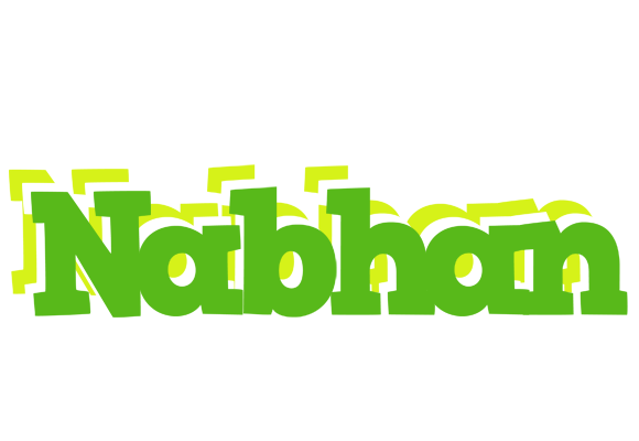 Nabhan picnic logo