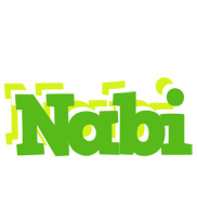 Nabi picnic logo