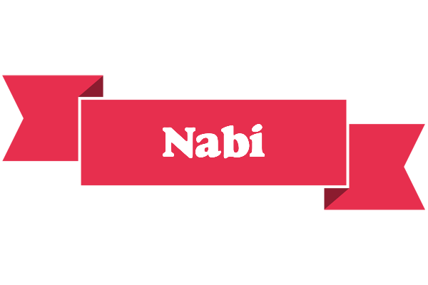 Nabi sale logo